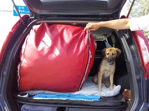 14191994_1829788073920827_5633081733315720405_n